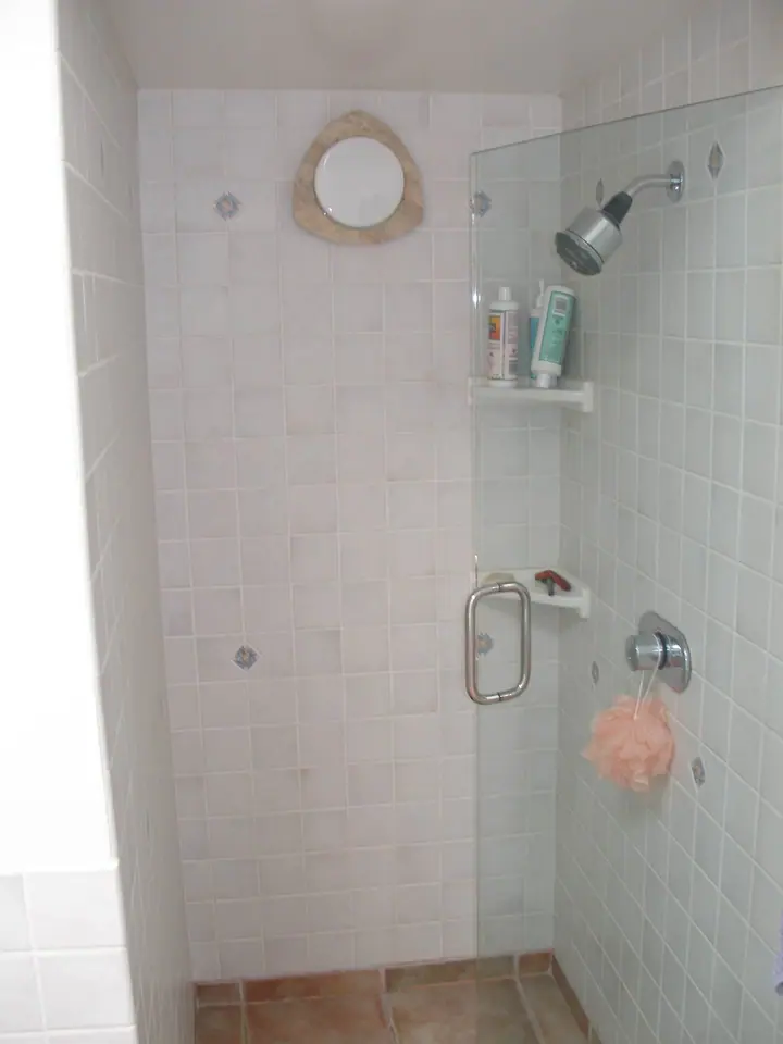 A unique bathroom remodel in a Miraloma Park, San Francisco home: shower