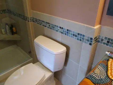 Bath remodel with a custom medicine cabinet: toilet