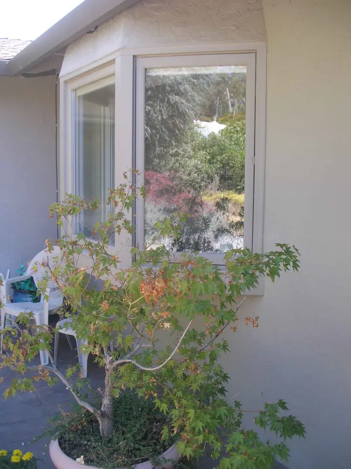 Bay window, photo 3
