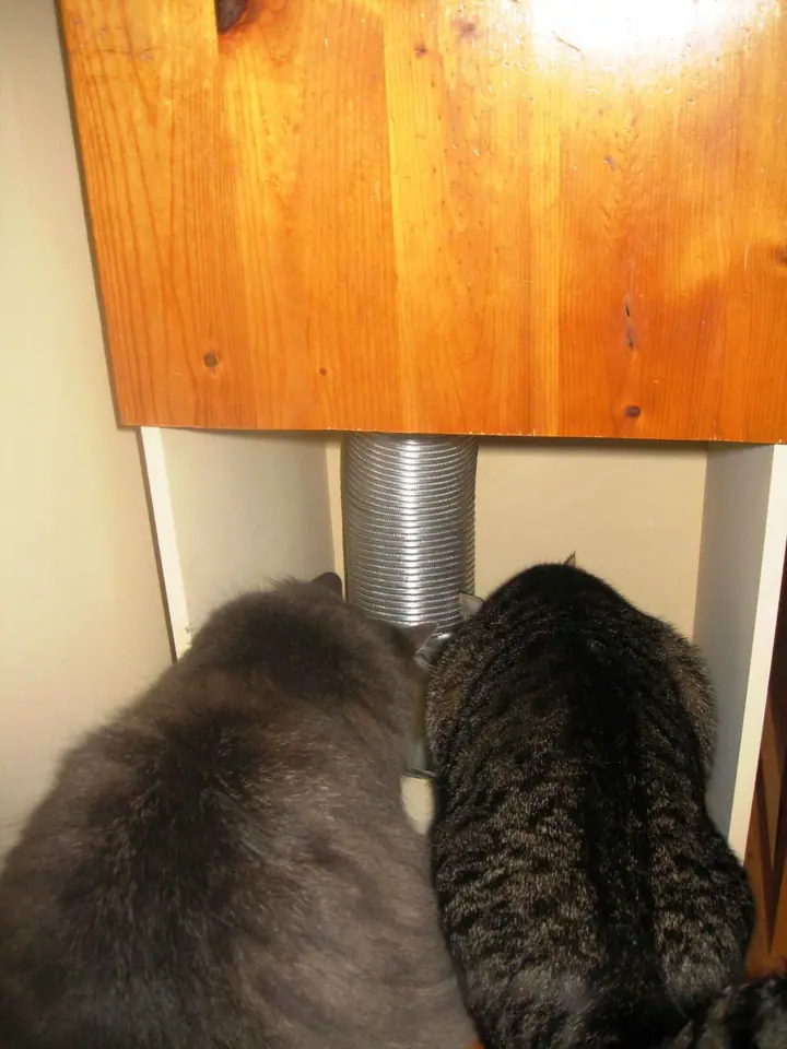 Custom Cat feeder that blends with the cabinets, photo 3