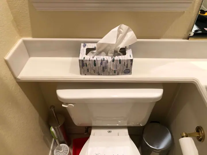 Guest bath remodel in San Rafael: Before Toilet and and a banjo counter over it...Yuck