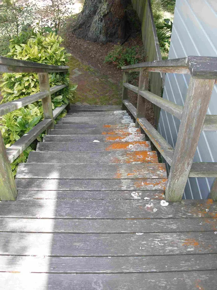 Redwood deck rebuild and expansion in the Inner Richmond, San Francisco: Before stairs