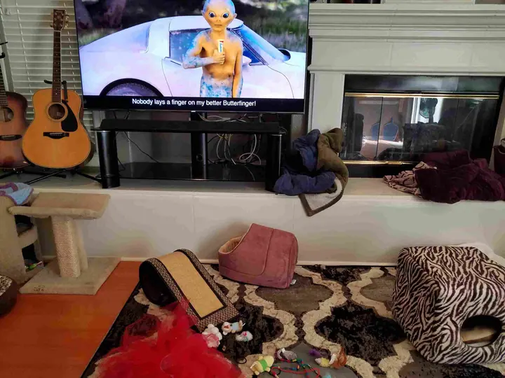 Novato fireplace remodel: Before the long boxy hearth thingy
