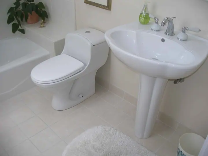 Stylish bathroom in San Rafael: sink and toilet
