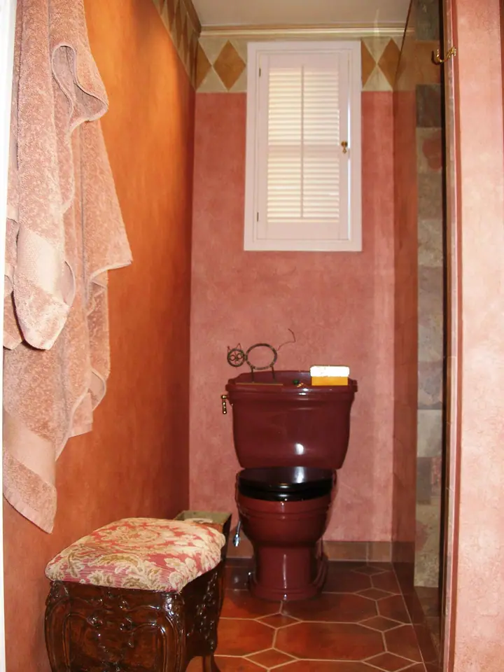 Uniquely personalized Greenbrae, Marin bathroom: toilet